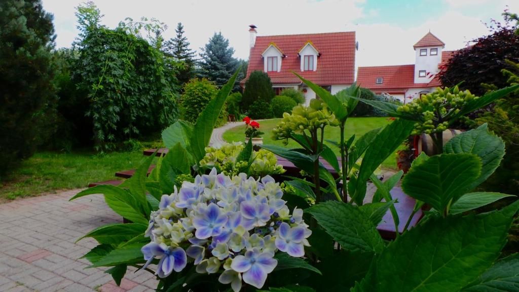 Дома для отпуска Ievnieki Guest House Cenkone-36